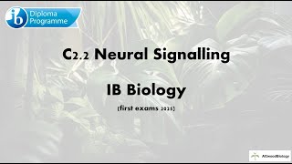 C22 Neural Signalling IB Biology first exams 2025 [upl. by Alinna]