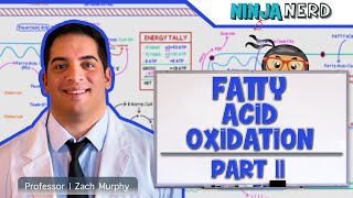 Metabolism  Fatty Acid Oxidation Part 2 [upl. by Harmon]