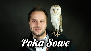 POKA SOWE  10 CIEKAWOSTEK O SOWIE [upl. by Amak270]