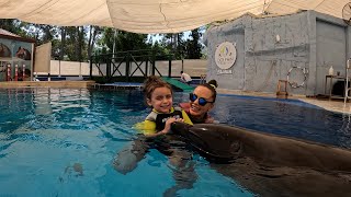 Delfintherapie Kemer  Sofia [upl. by Danelle]