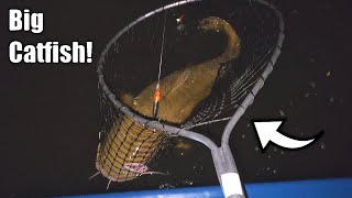 Fall Flathead Catfishing Big Fish Landed [upl. by Woolley520]