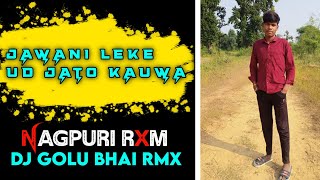 JAWANI LEKE UD JATO KAUWA  NAGPURI SONG RMX  DJ VIBRATION MIX  DJ GOLU BHAI RMX 9X [upl. by Erinn729]