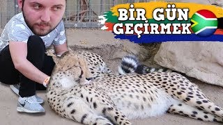 GÜNEY AFRİKADA BİR GÜN GEÇİRMEK [upl. by Asi829]