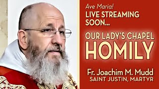 Memorial of Saint Justin Martyr  June 1  Homily  Fr Joachim [upl. by Cressida474]