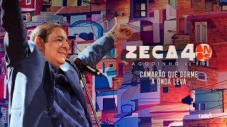 Zeca Pagodinho 40 anos Ao Vivo  quotCamarão que dorme a onda levaquot CLIPE OFICIAL [upl. by Bryanty504]