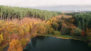 Cannock Chase National Forest drone footage [upl. by Favian]