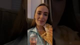 Cat reaction funny cat funnycats ytshorts yt trending animals [upl. by Mharba605]