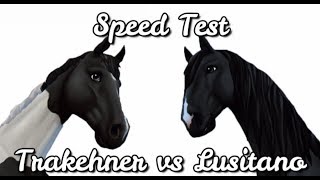 Speed Test Trakehner vs Lusitano  Star Stable Online [upl. by Hazel]