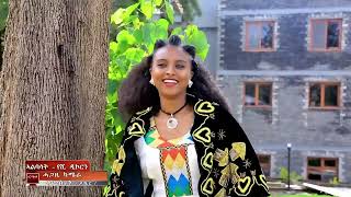 Temesgen teklay fseha weselam New tigrigna Music 2023 Official Videoተመስገን ተኽላይ ፍስሃ ወሰላም 2023 [upl. by Avilo753]