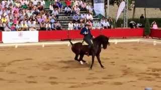 RAFAEL ARCOS GANADOR CAMPEONATO DE ESPAÑA DOMA VAQUERA 2014 [upl. by Etna738]