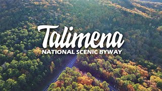 Talimena National Scenic Byway  2023 Fall Foliage [upl. by Cohbert622]