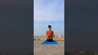 how to sit in Vajrasana  how to do Vajrasana vajrasana beginners [upl. by Selbbep699]