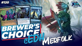 Are Merfolk cEDH Viable Now  Brewers Choice [upl. by Ridan]