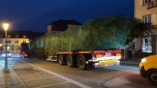 Le sapin de Noël de Strasbourg en transit à Rohrbach [upl. by Nelaf718]