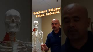 Scalenes Trigger Point Referral Neck Pain Plus Pain Down the Arm [upl. by Klug330]