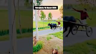 New jhota race 🐂🐂🐂 horse horselover farmer viralvideo video trendingshorts jhota shortsfeed [upl. by Aihsel619]