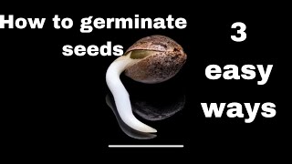 3 Easy Ways To Germinate Seeds Step By Step Guide For Beginners seedgermination seedstarting [upl. by Innob517]