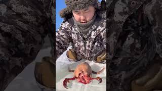 permafrost winter outdoorcooking cooking bushcooking bushcraft 🥶❄️🌨️☃️🍗🥩🦆 [upl. by Ynattib]