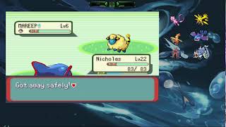 lets relax and play pokemon pokemon pokemonemerald randomized connect [upl. by Yenial]