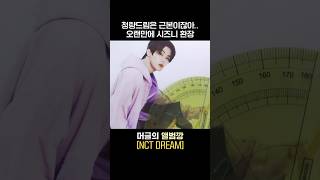 후 청량드림은 근본이잖아 오랜만에 시즈니 환장해😖💚 NCTDREAM 앨범깡 [upl. by Salokkin]