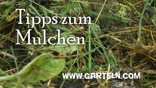 Tipps zum Mulchen [upl. by Nnairrek976]