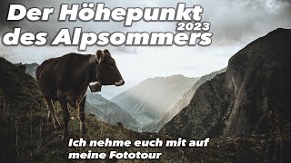 Der Höhepunkt des Alpsommers  Ich nehme euch mit auf meine Fototour [upl. by Farrow]