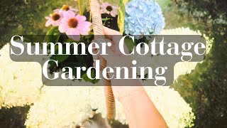 Summer Cottage Gardening  UpdatesGarden Beginnings You Have to Start SomewherePart 2 [upl. by Assiralk]