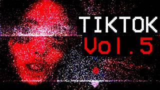 Tiktok Deep Dive Vol 5 [upl. by Nydnarb]