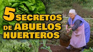 Cultiva ECOLÓGICO como Nuestros ABUELOS 🍅 5 Consejos Orgánicos para Empezar tu Huerto Urbano en Casa [upl. by Thin785]