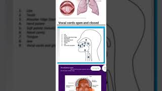 phonatory system and articulatory system in tamil [upl. by Nogam]