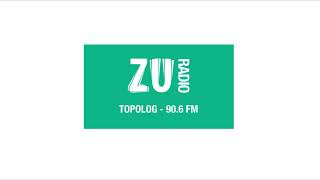 9060 MHz  RADIO ZU Topolog 906 FM received in Germany [upl. by Annas983]