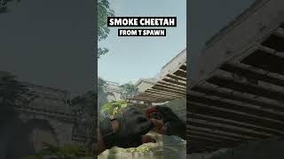 HOW TO SMOKE CHEETAH from T SPAWN on Ancient CS2 cs2 counterstrike2 cs2clips shorts [upl. by Bohon]