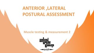 Anterior amp lateral postural assessment  muscle test 2  Lec 9 [upl. by Magner]