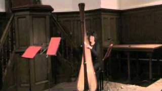 Cadence pour harpe extraite de Lucia di Lammermoor de GDonizetti [upl. by Gertrud]