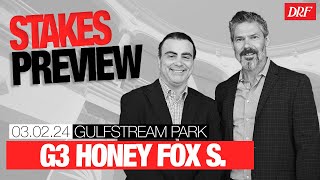 Grade 3 Honey Fox Stakes Preview  March 2 2024 [upl. by Hoffert]