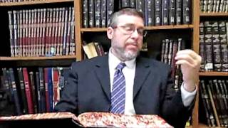 Sanhedrin 12 Rabbi Daniel Korobkin with Laryngitis Audio File 2017 07 28 [upl. by Annawaj]