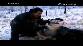 Man vs Wild in Hindi Siberia Part 02  Bear Grylls in survival series [upl. by Ssac]