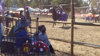 Jousting at the Canterbury Renaissance Faire yesterday [upl. by Rollin404]