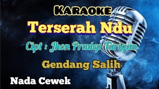 TERSERAH NDU  KARAOKE LAGU KARO  VERSI GENDANG SALIH  NADA CEWEK [upl. by Zela630]