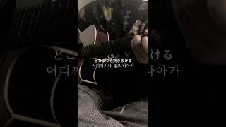 ホログラム 弾き語り【NICO Touches the Walls  Hologram】Full Metal Alchemist Brotherhood OP [upl. by Atinna862]