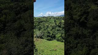 INVITACIÓN A LOS TURISTAS QUE CONOZCA ESTA REGIÓN BONITA paisajeculturalcafetero coffeeregion [upl. by Ymerrej80]