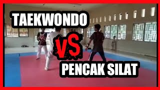 TAEKWONDO VS SILAT [upl. by Silado797]