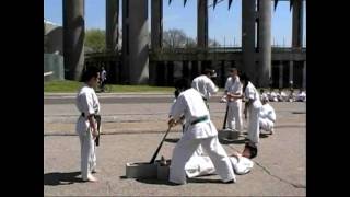 World Oyama Karate Matsumoto Dojo 42509 Sakura Matsuri Demonstration [upl. by Alena]