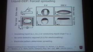 Dielectrophoresis and Liquid Crystal Dielectrophoresis  Carl Brown [upl. by Ollecram]