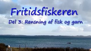 Rensning af fisk og garn [upl. by Gannie53]