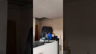 Fizemos o rebaixamento de drywall 🏠🚧😱drywall dicas diariodereforma foryou obra [upl. by Ikik136]