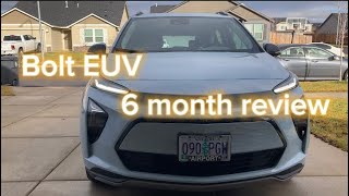 Bolt EUV 6 month review [upl. by Kcirdec441]