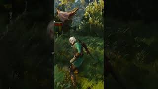 The Witcher 3 Wild Hunt 29 merurpg [upl. by Kinemod785]