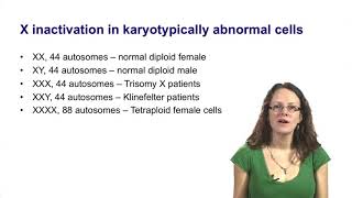 3 1 History and background of X chromosome inactivation [upl. by Asseret]