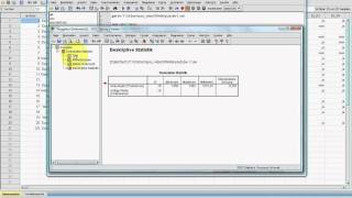 SPSS VideoSeminar  Teil 61 Syntax 9 Befehl OMSSteuerung [upl. by Enrobyalc386]